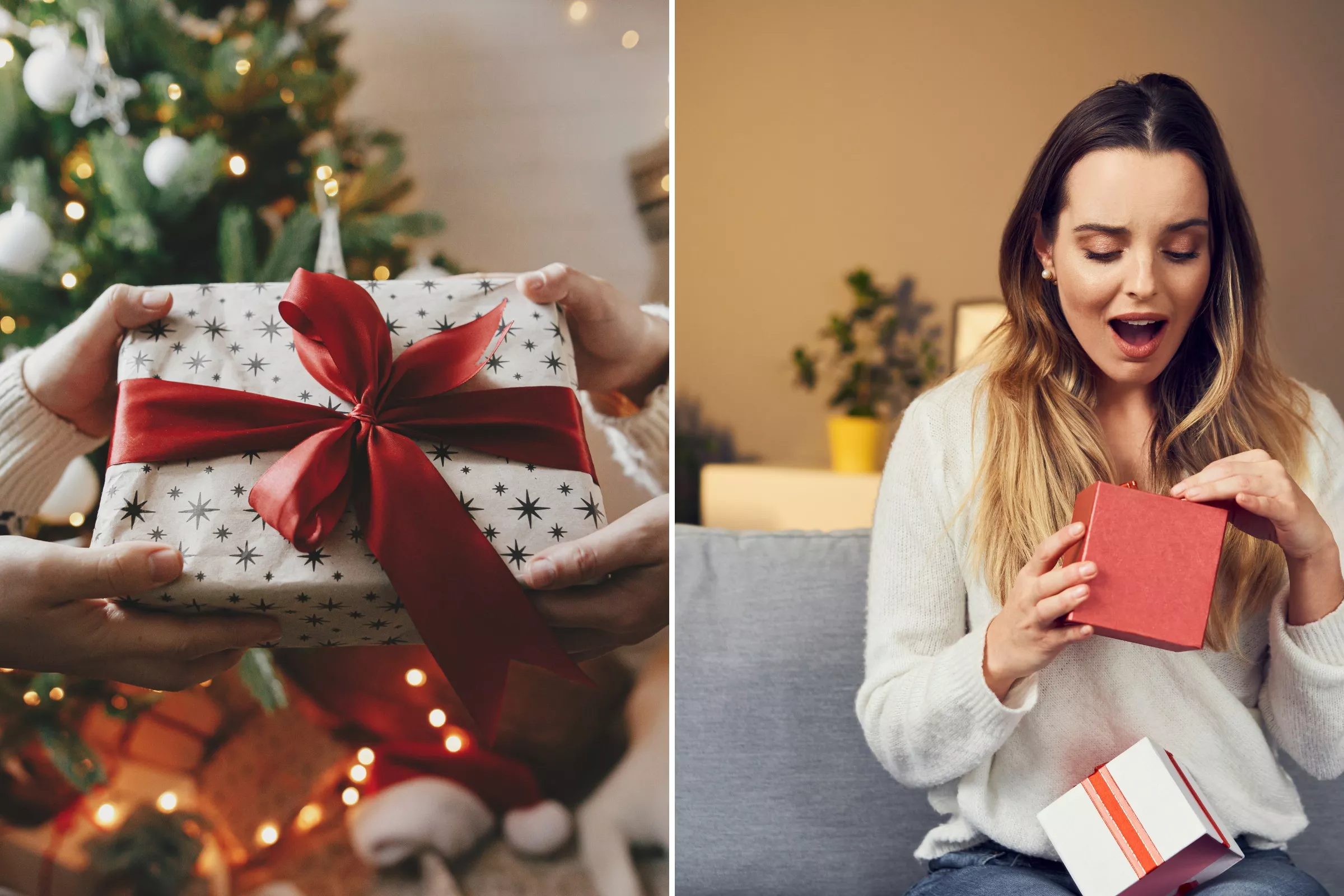 'We Were Bewildered': People Share Their Most Shocking Christmas Gifts - Vimarsana News