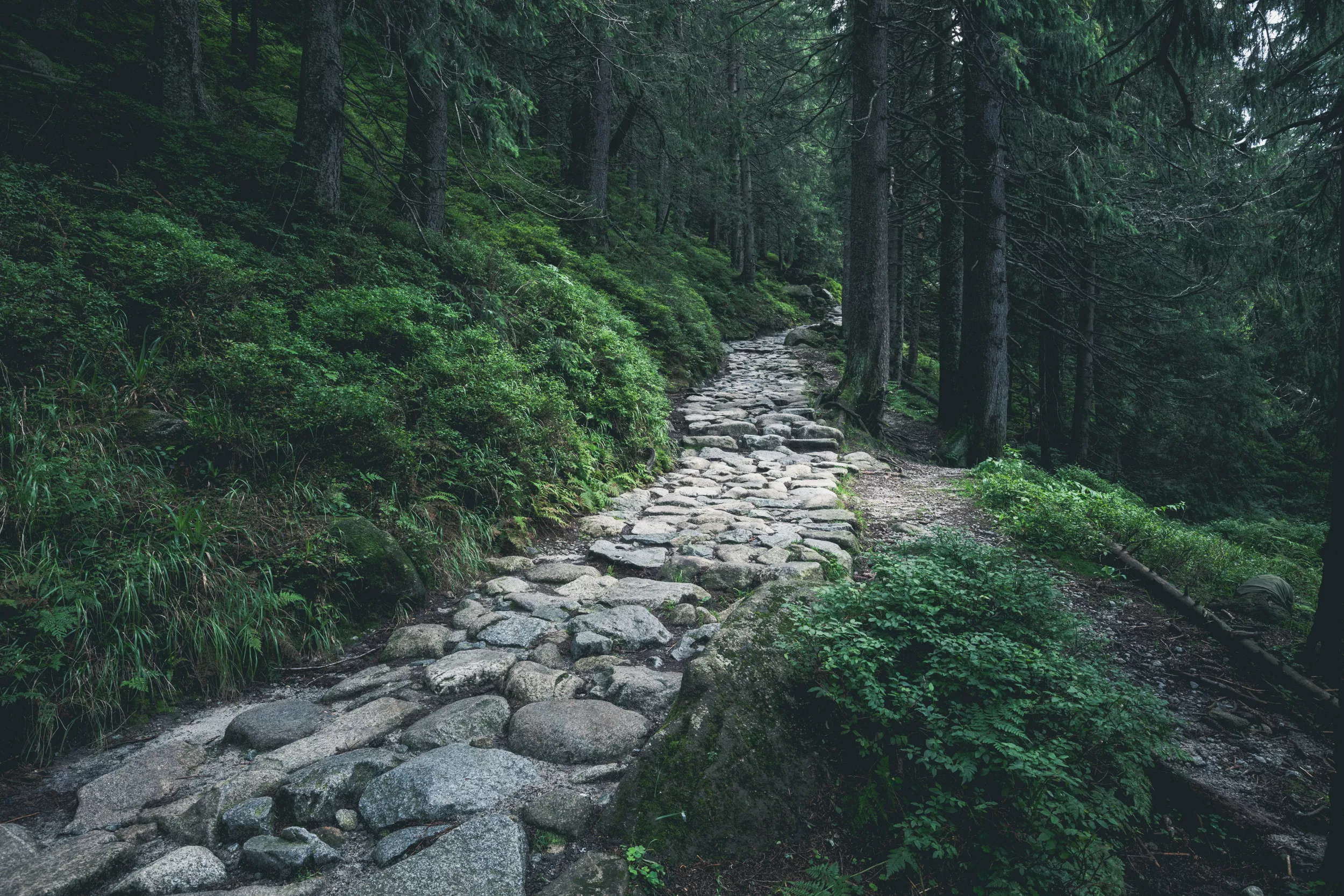 Compassionate Leadership in Times of Crisis - Vimarsana News