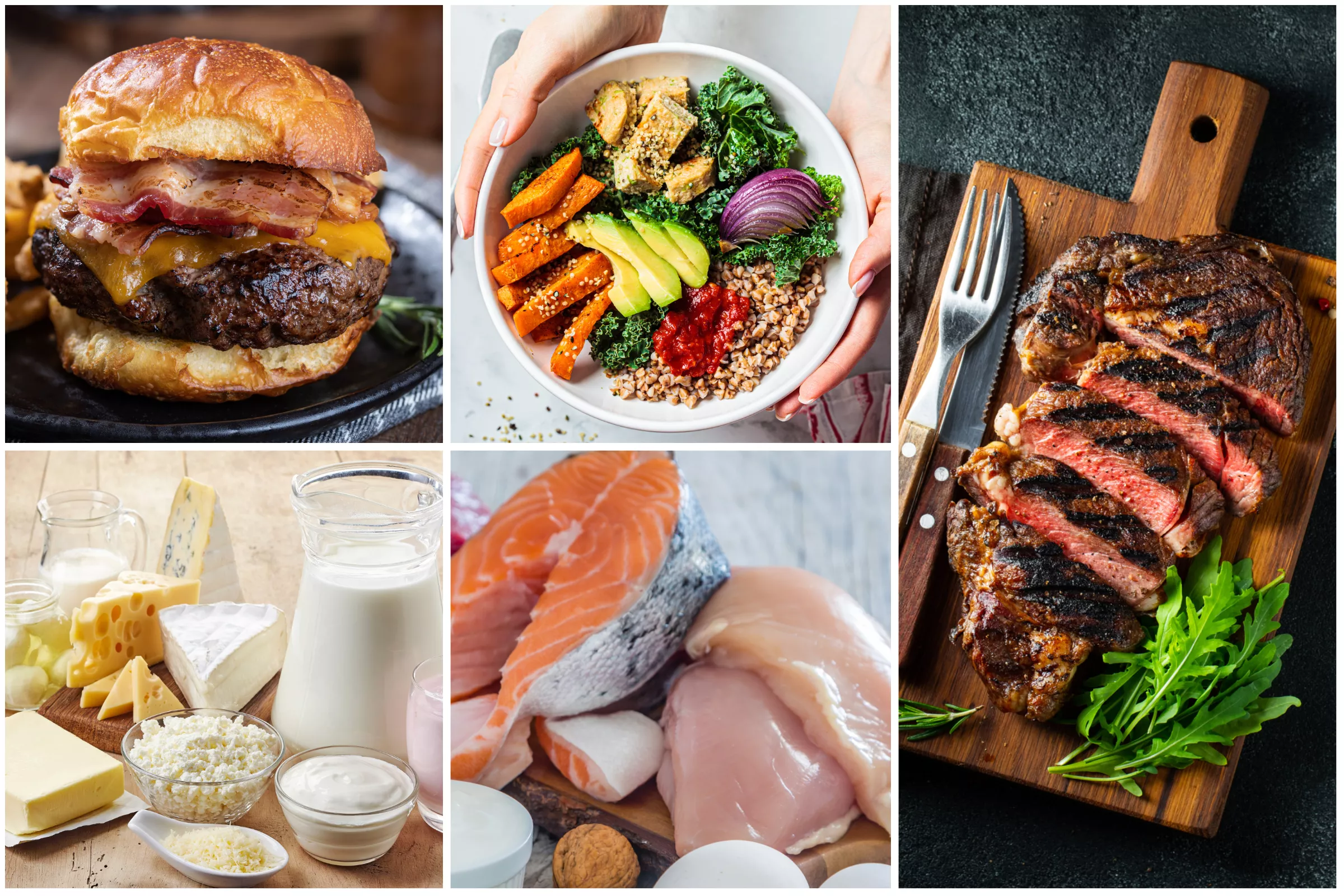 What Happens to Your Body When You Eat Meat and Dairy Every Day? - Vimarsana News