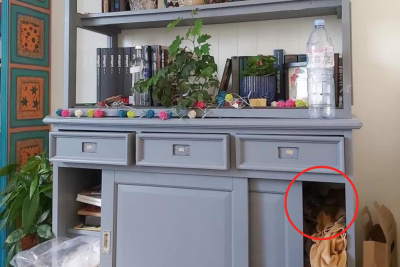Cat hiding in bookcase reveal