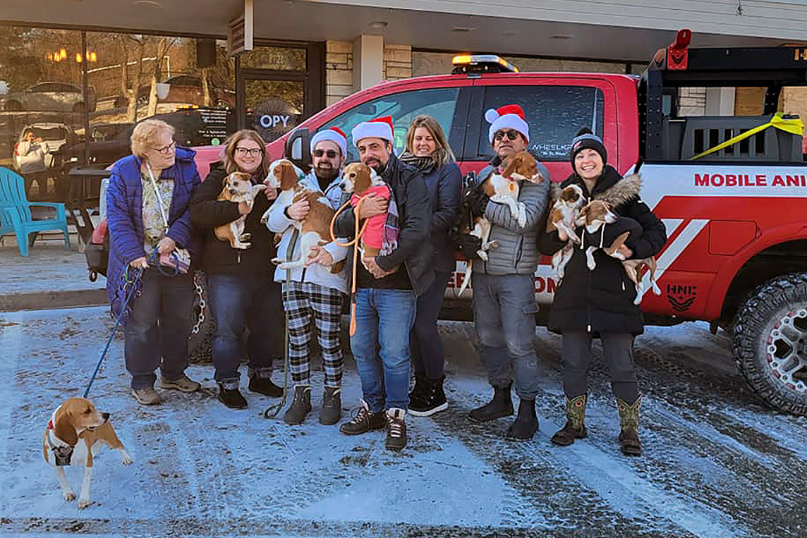 Thousands Of Dogs Rescued As Auto Industry Pitches In To Help   Animal Rescue Rigs Beagles Omaha Nebraska 