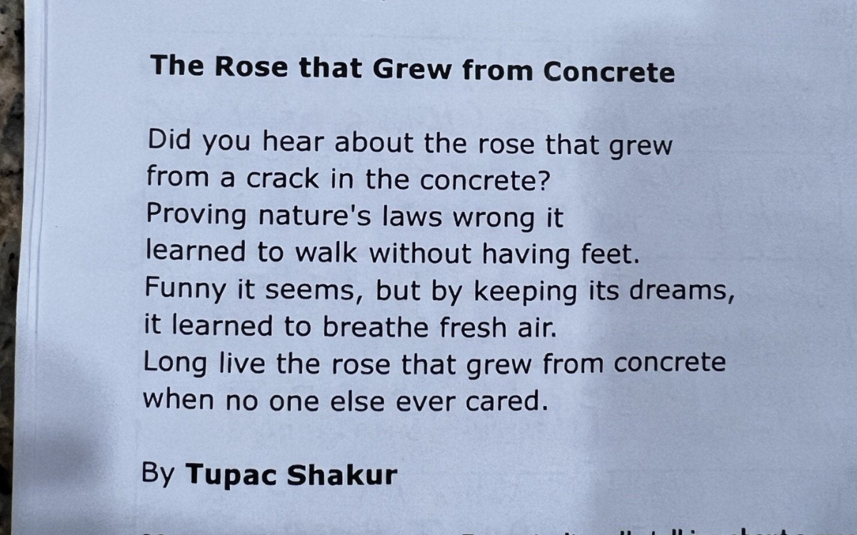 2pac the rose that grew from concrete album