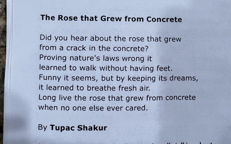 The Tupac Shakur poem.
