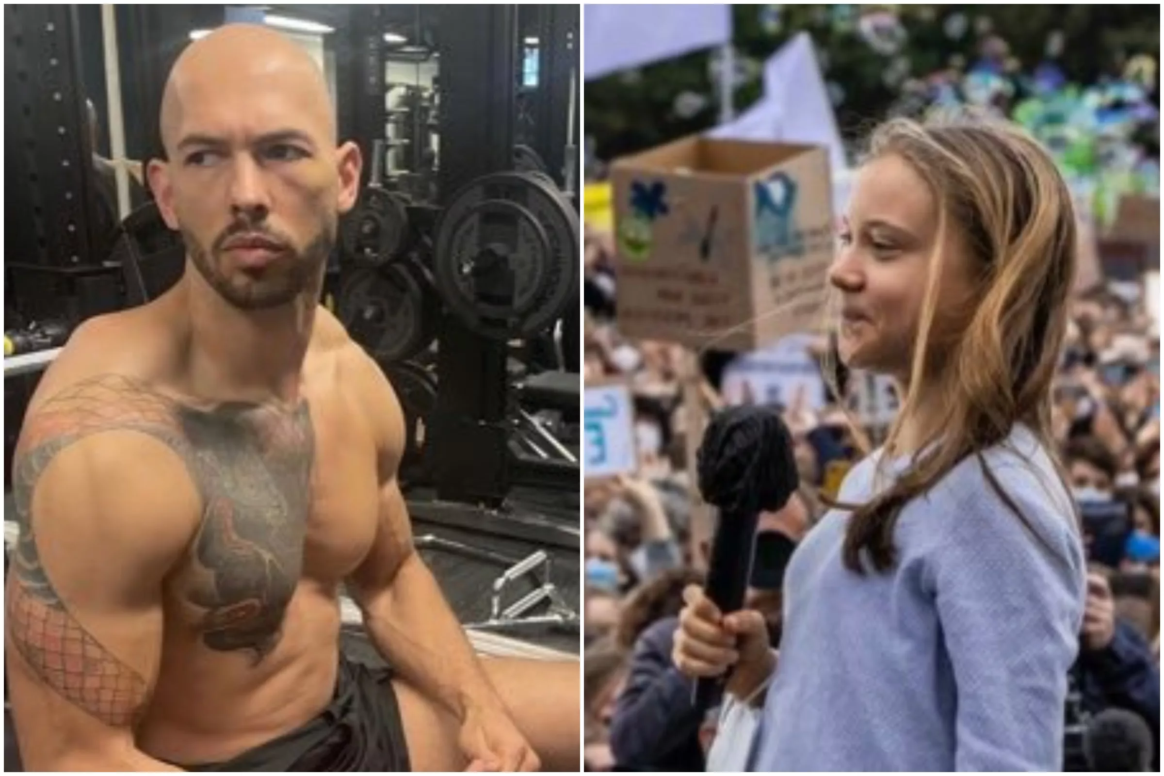Andrew Tate's Attempt at Greta Thunberg Burn Backfires as She 'Owns' Him - Vimarsana News