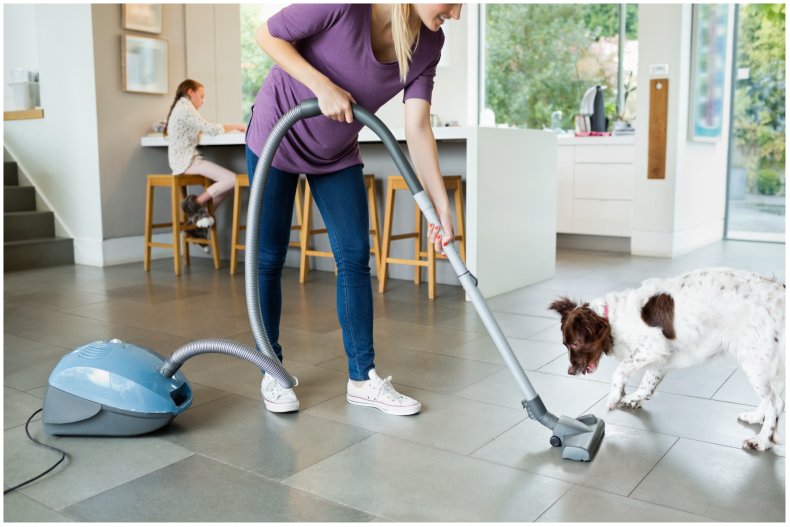 Stock image of a dog and hoover