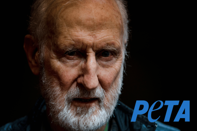 James Cromwell portrait