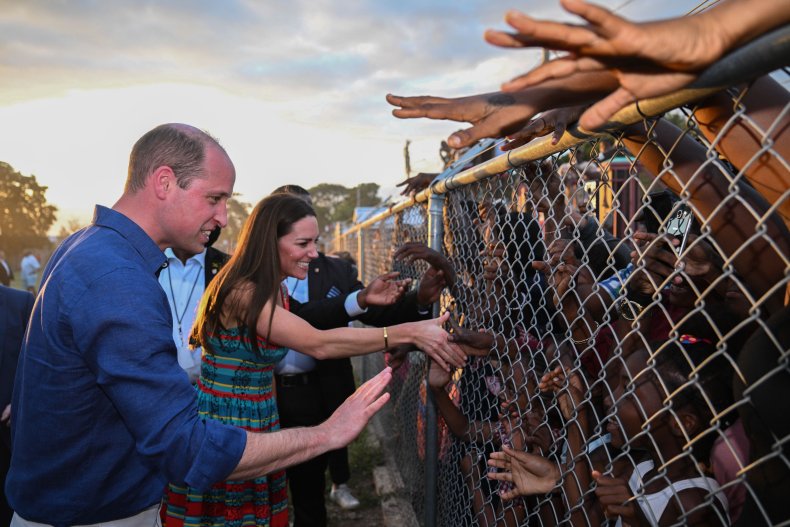 Picture of Prince William and Kate's wire mesh
