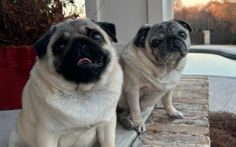 Maggie with her