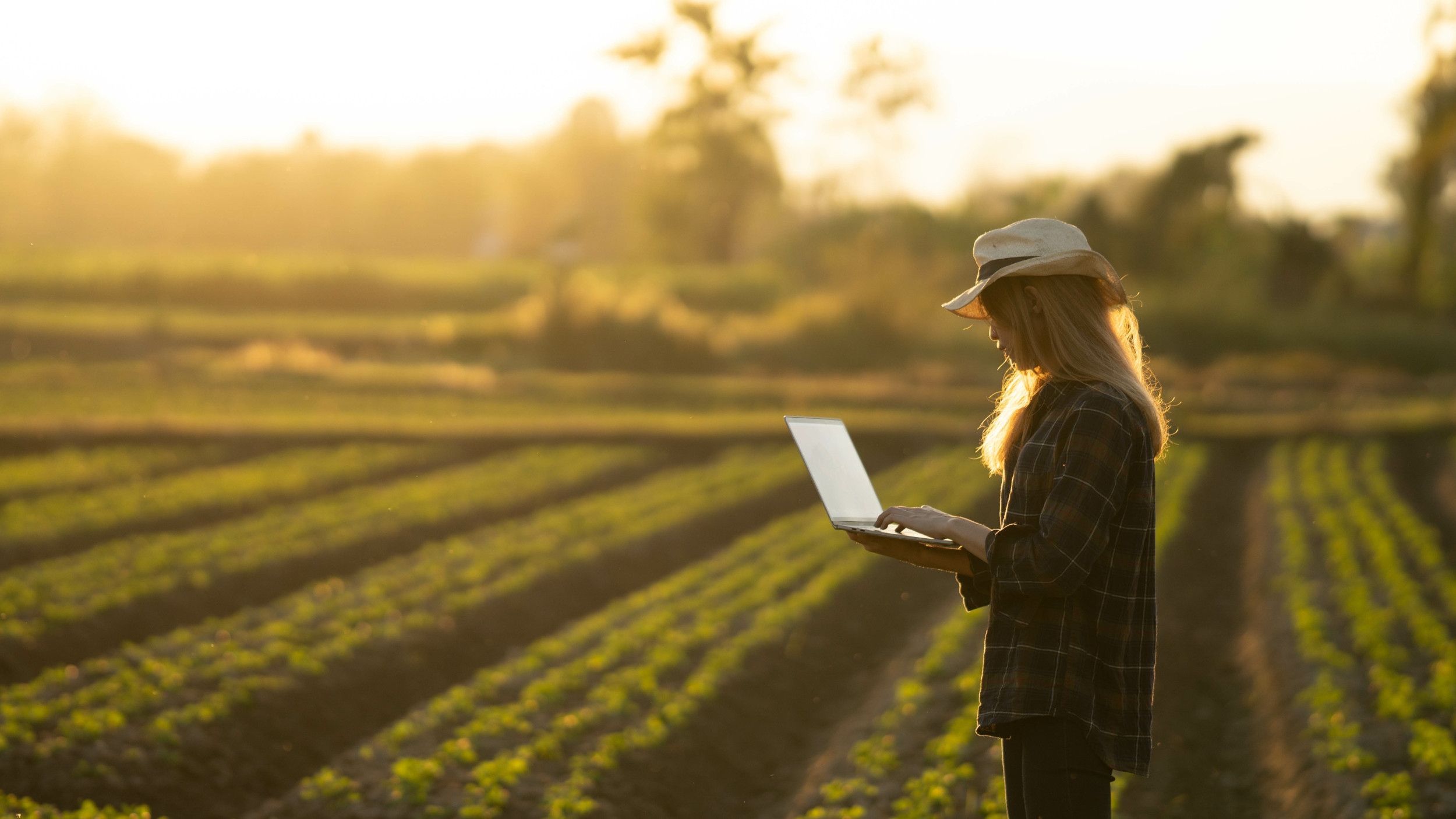 person in a field using laptop