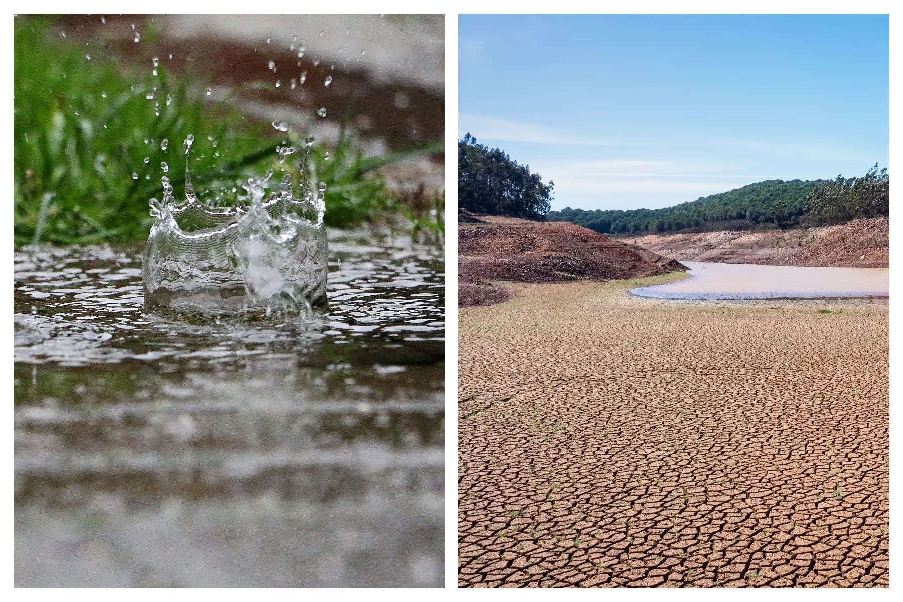 California Drought: Is Current Rain Helping State Reservoir Water Levels? - Vimarsana News