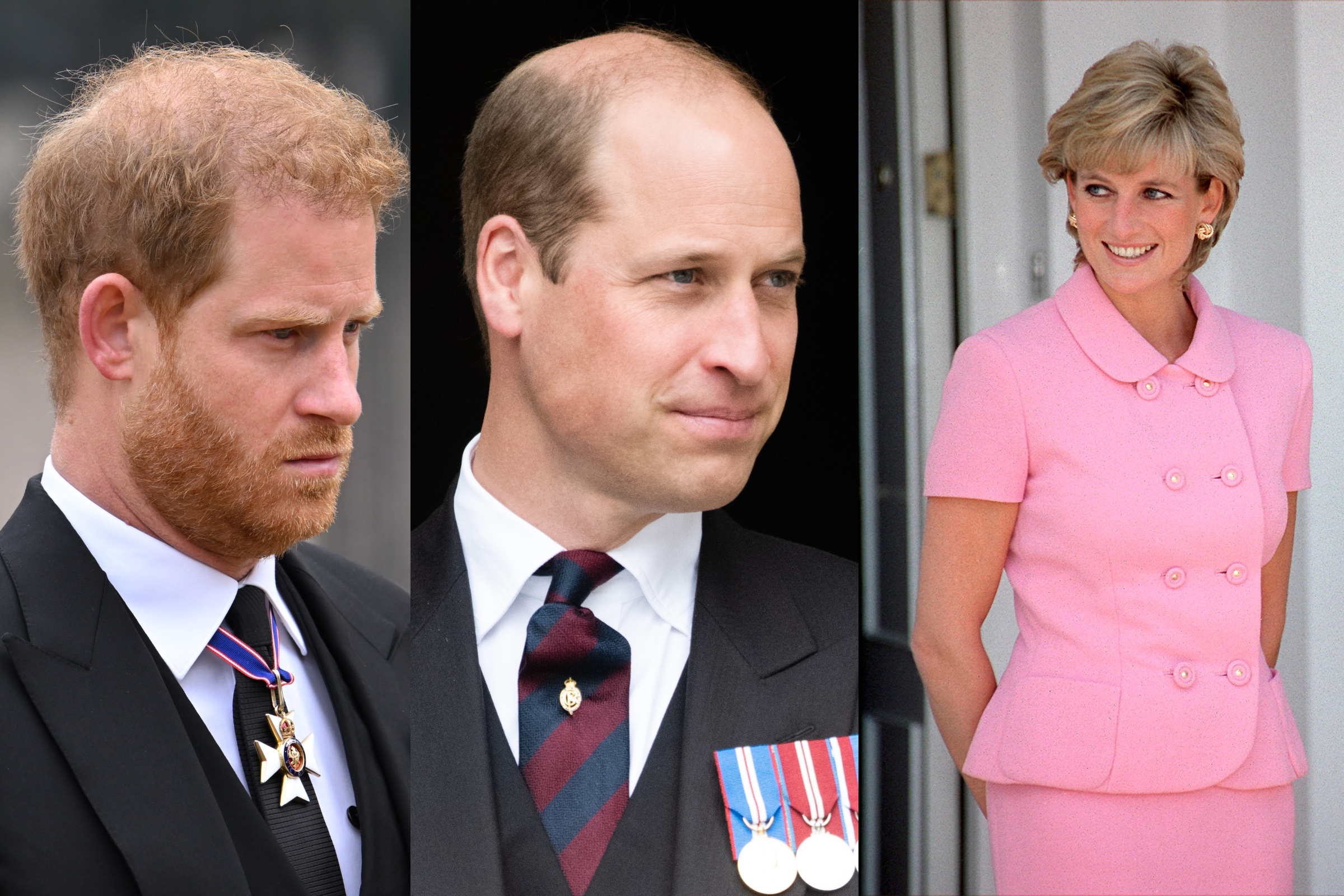 Prince Harry Slams William's 'Alarming' Baldness, Lack of Diana Resemblance