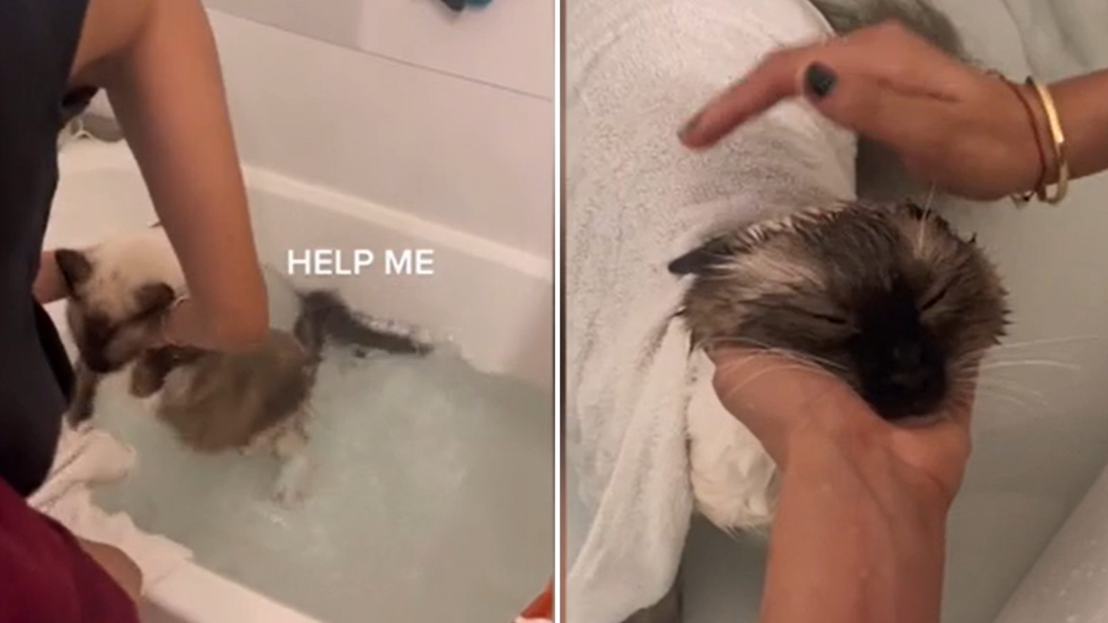 What can i bathe my dog sales in to get rid of fleas