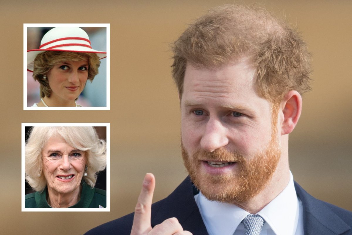 Prince Harry Avenges His Mother by Exposing Camilla's Alleged Schemes -  Newsweek