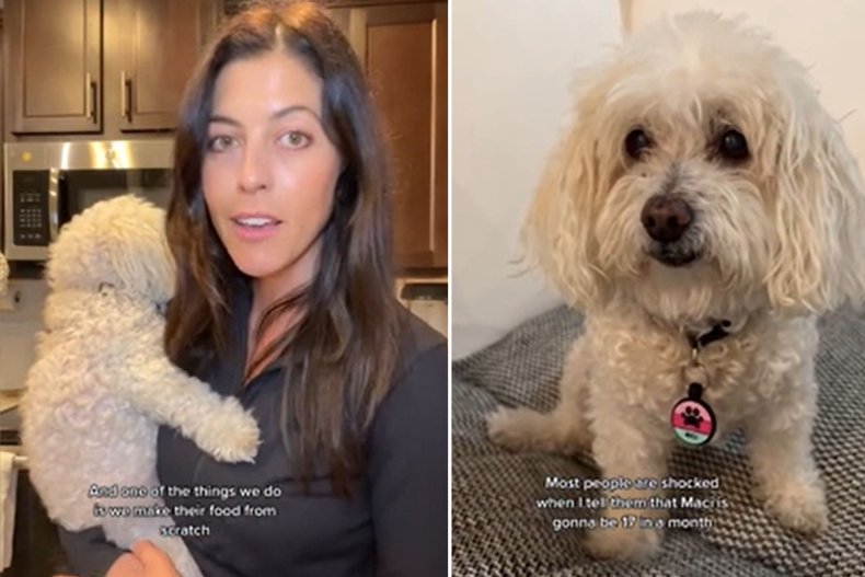 Dog Owner Shares Secret Dog Foods