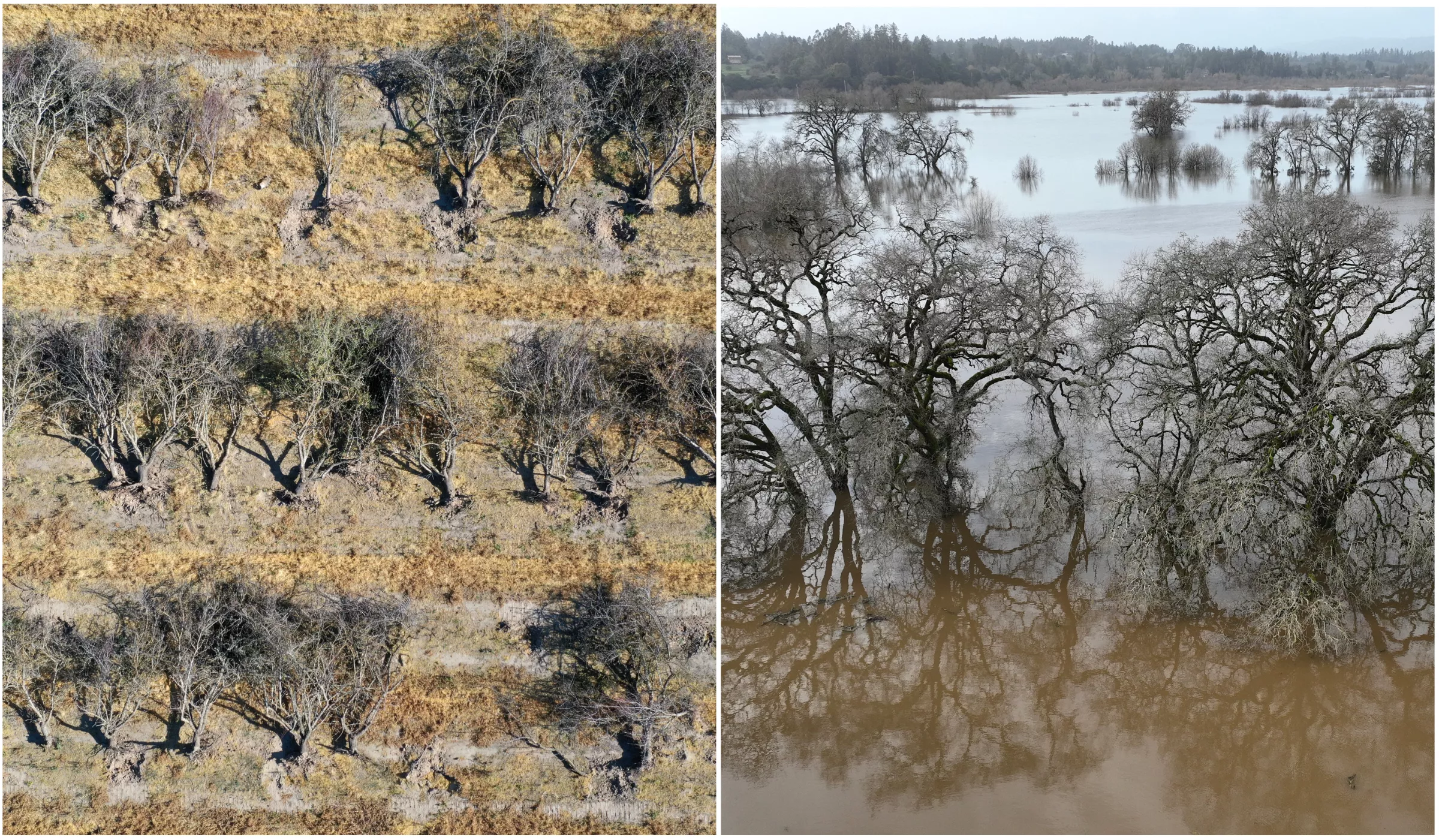 California Drought Map Before and After Extreme Rain - Vimarsana News