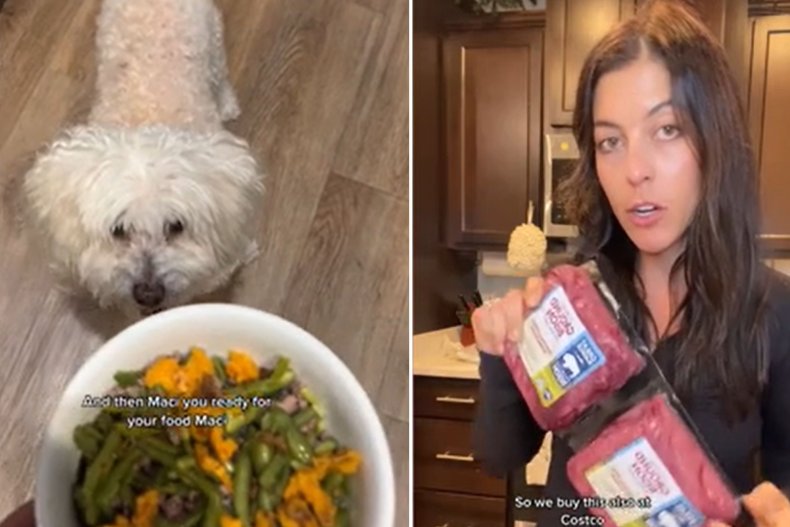 Dog Owner Shares Recipes
