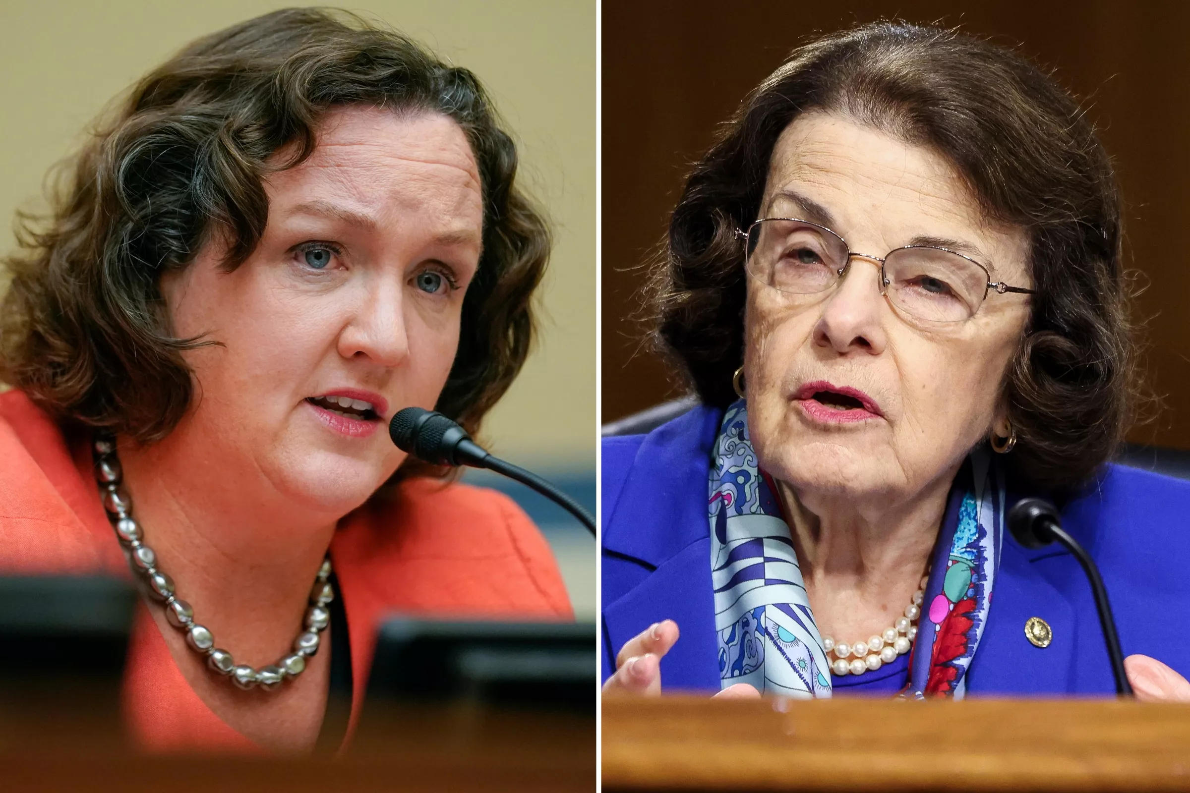 Katie Porter's Senate Bid Sparks Debate Over Timing: 'Disrespectful' - Vimarsana News
