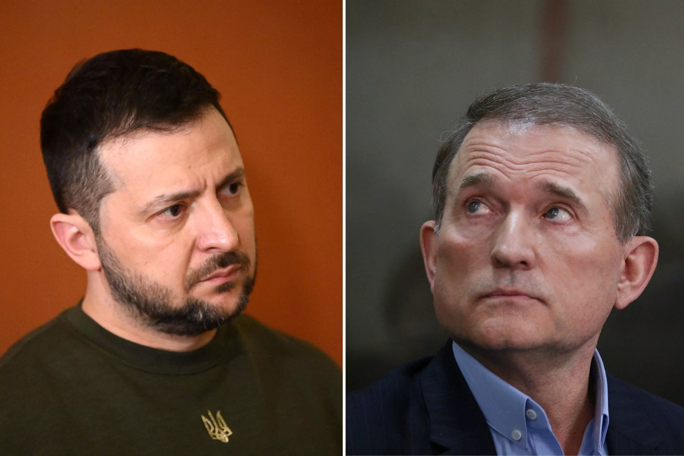 Zelensky Strips Putin Ally of Ukrainian Citizenship - Vimarsana News