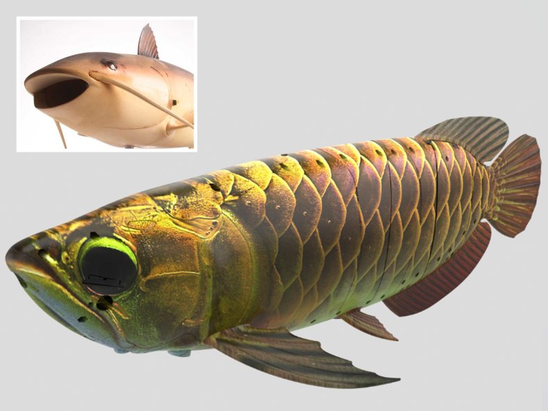 Composite Image of Robotic Fish 