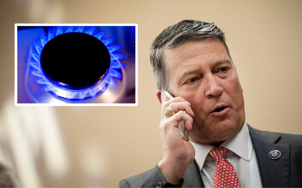Gas Stove Ban Could Hurt Coastal Liberals Most - Vimarsana News