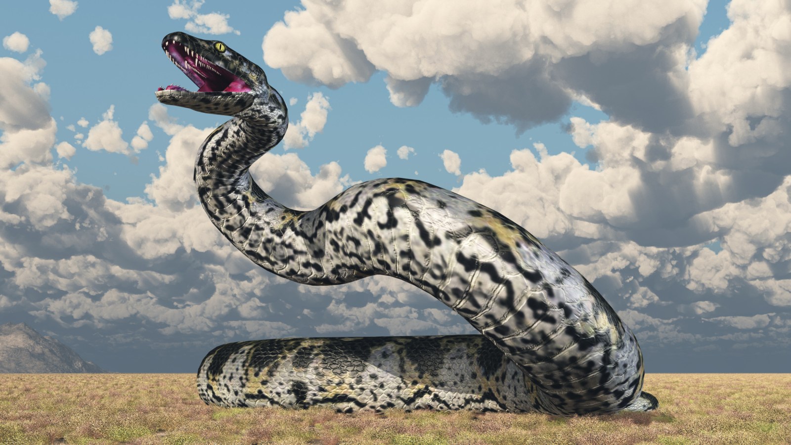 biggest snake in the world megalodon