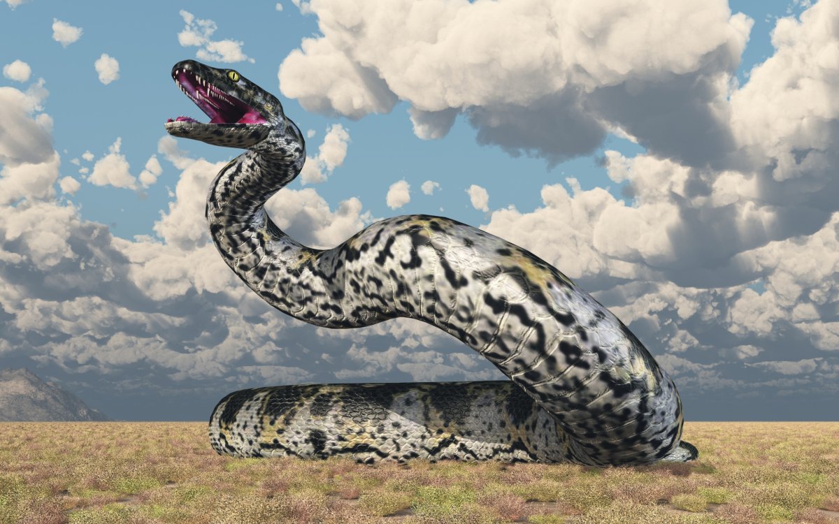 Premium Photo  A giant predatory snake. 3d illustrations