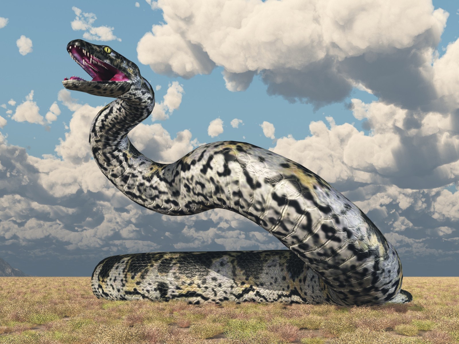 longest python found