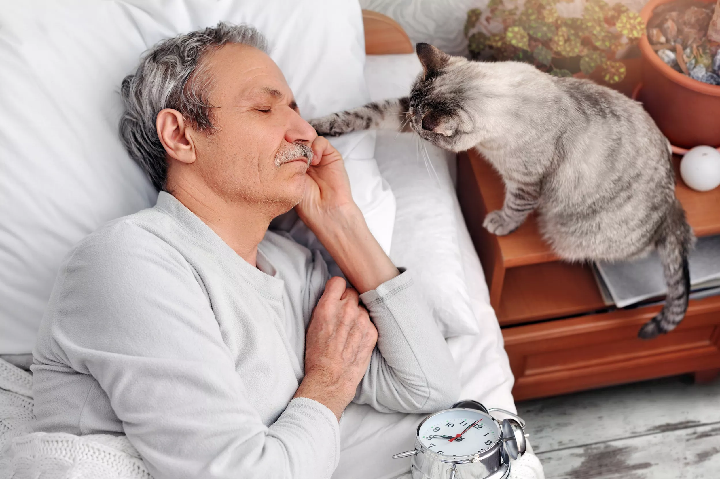 Demanding Cat Caught on Camera Waking Dad Up at 4am for Breakfast: 'Claws' - Vimarsana News