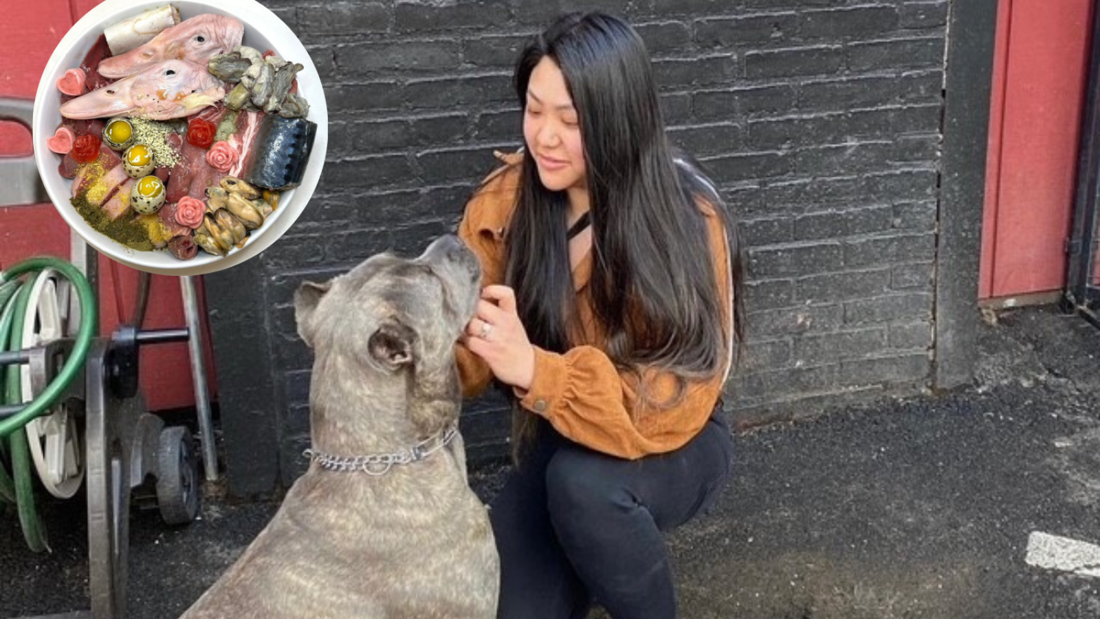 Great dane 2024 raw food diet