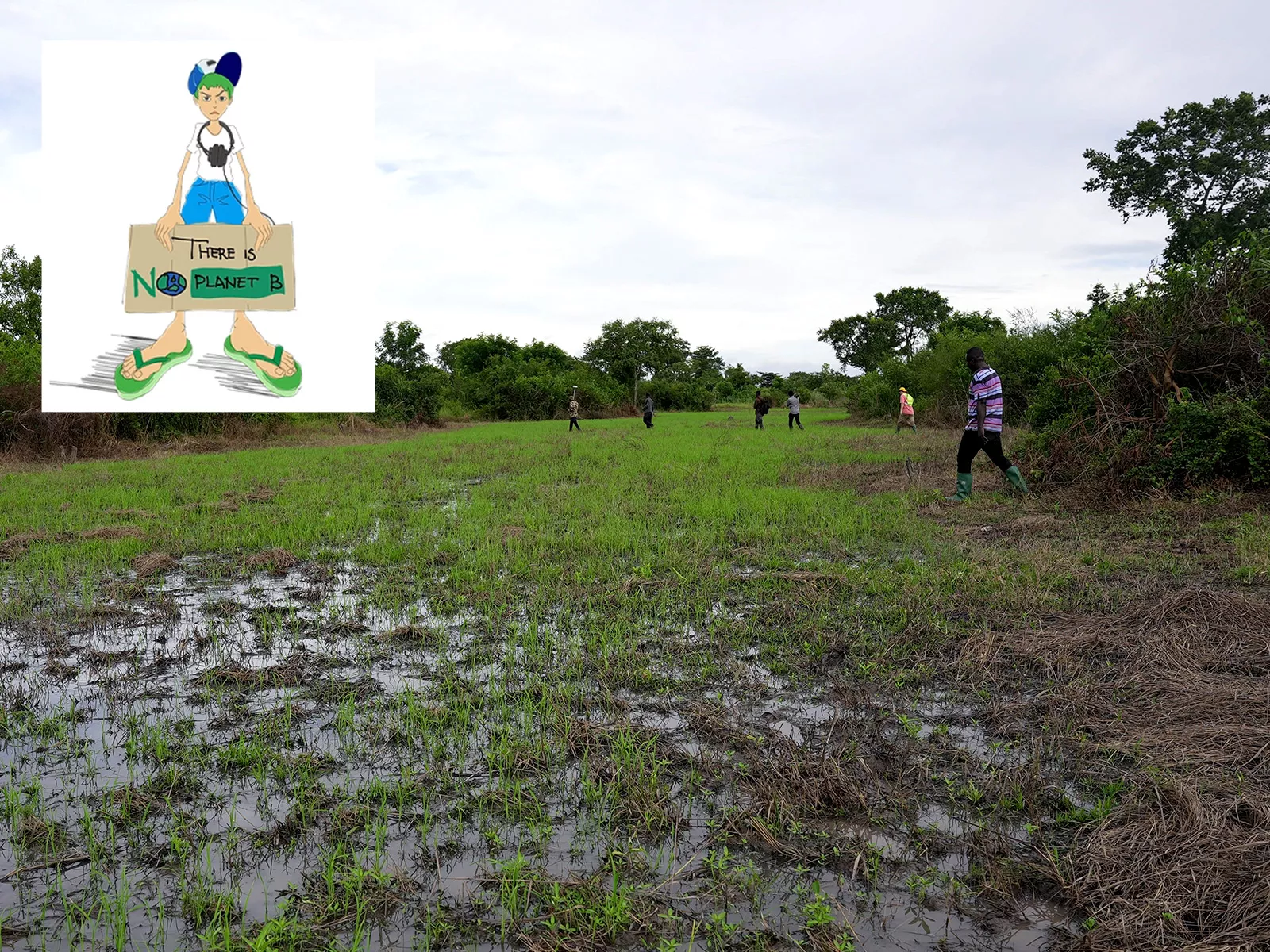 How NFTs Could Save the Planet - Vimarsana News