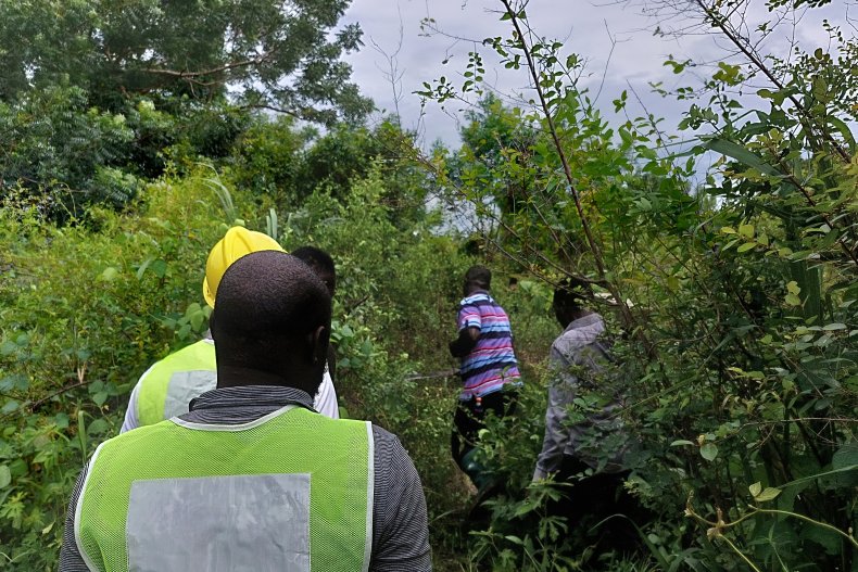 Rewilding volunteers traipse through ghanaian bush