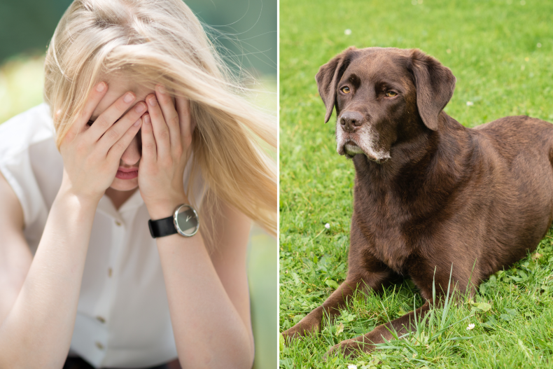 Dog Letting Owner Know It's Time Breaks Internet's Heart: 'Worst Feeling'