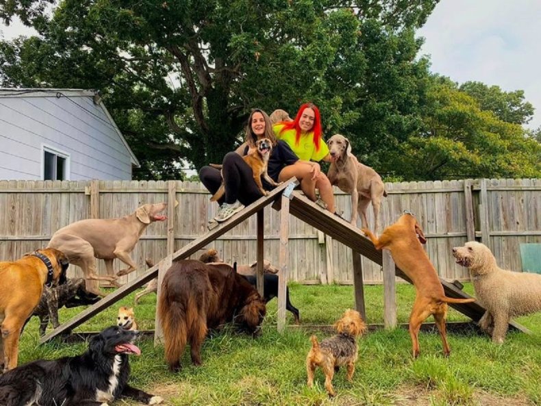 Woman With 30 Dogs From Dobermans to Chihuahuas Reveals How Visitors React 4 Toni and Lydia Enright with their dogs