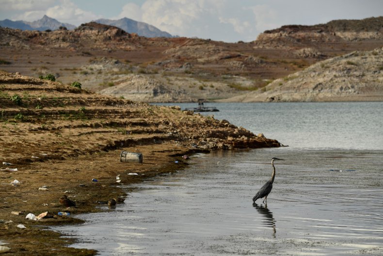 Lake Mead drought