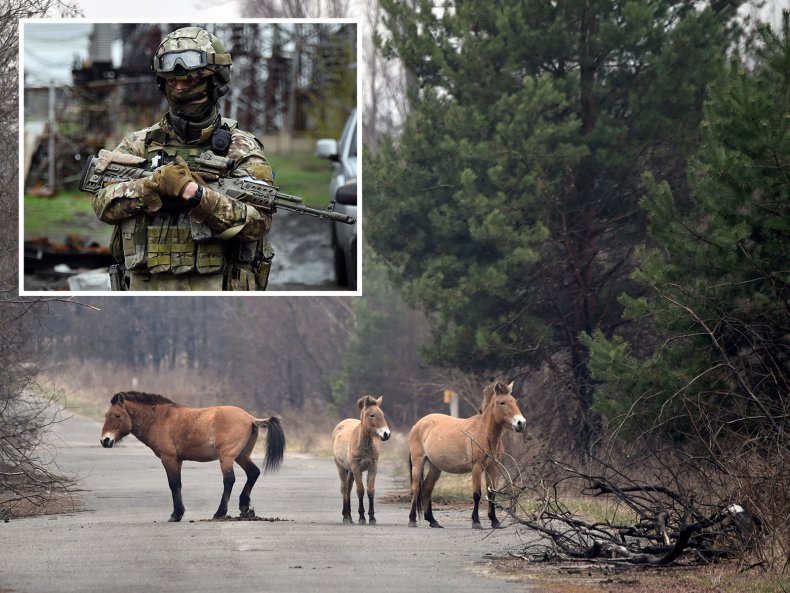 Comp Russian Soldiers and Wildlife in Chernobyl 