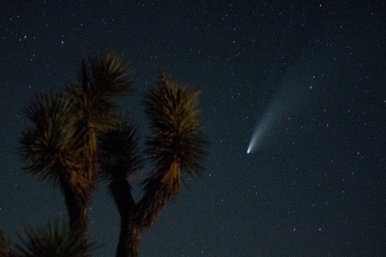 Comet NEOWISE