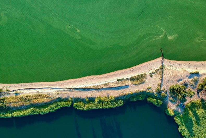 algal bloom lake