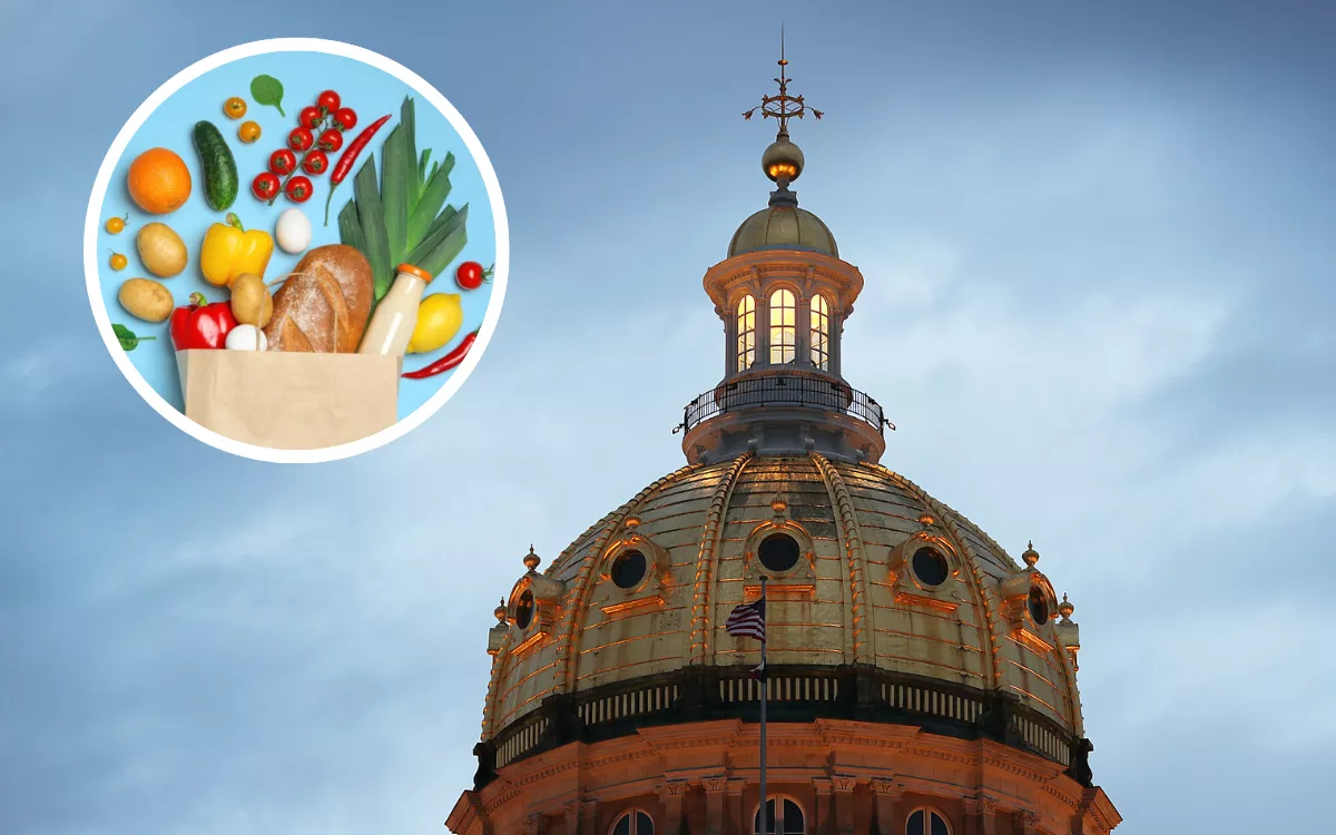 Iowa GOP's Plan to Limit SNAP Benefits Slammed as 'dehumanizing' - Vimarsana News