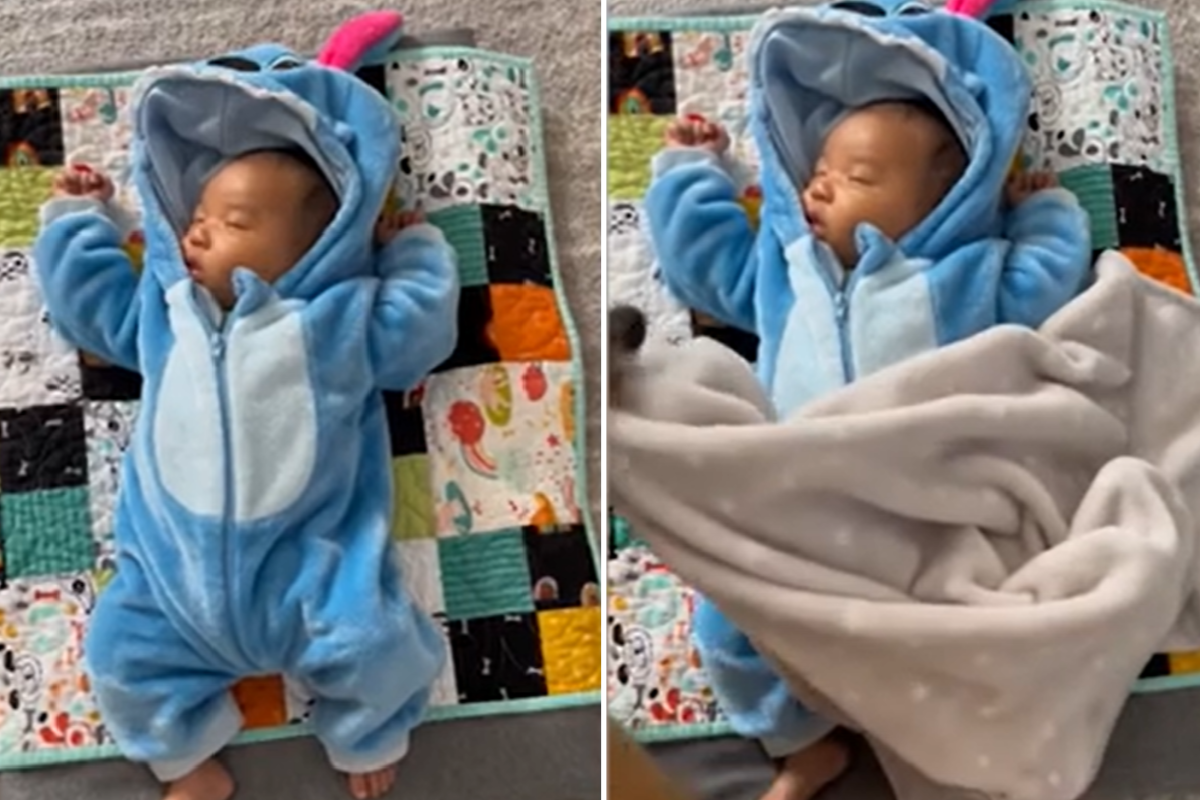 Baby Koa gets wrapped up in blanket
