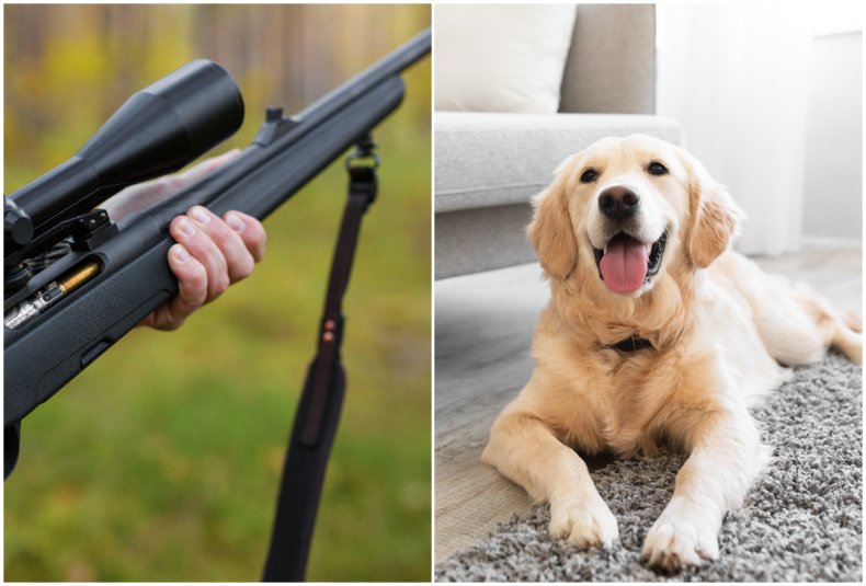 Rifle and dog 
