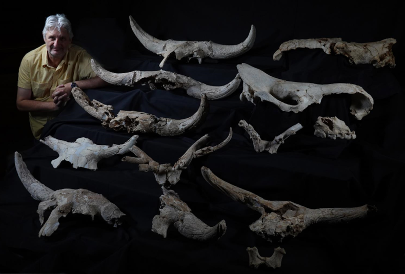 Baquedano with a collection of animal skulls