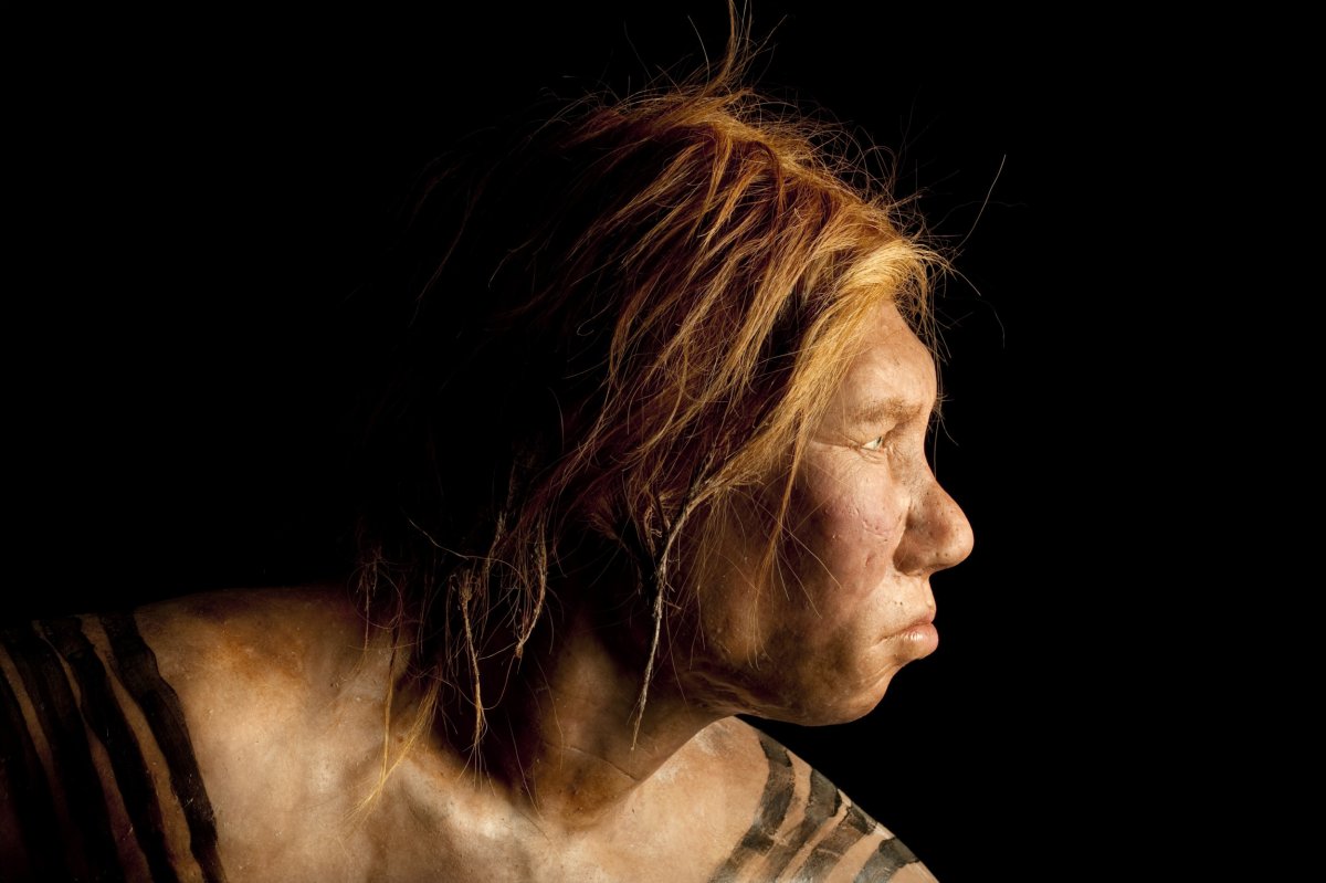 Neanderthal female