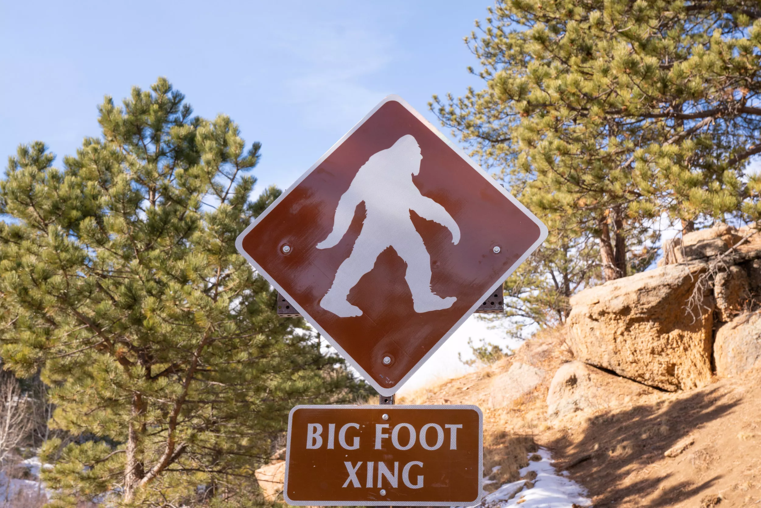 Scientist Has Very Simple Explanation for Bigfoot - Vimarsana News