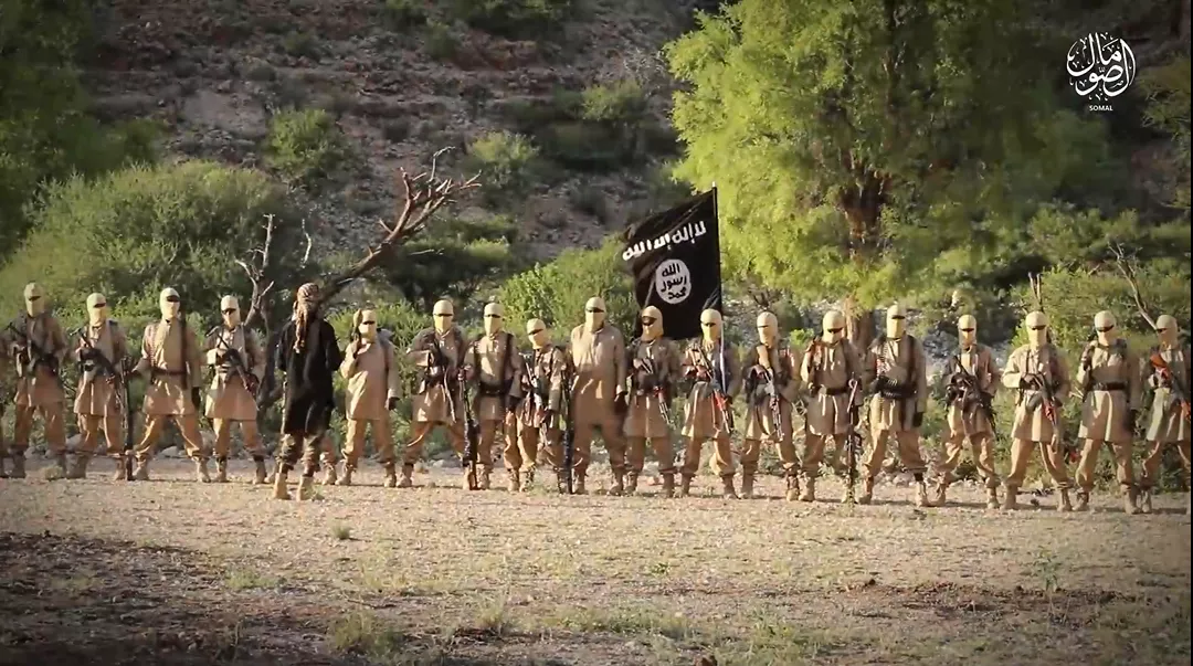 U.S. Says Killing ISIS Figure in Somalia Shows How Group Is Still Spreading - Vimarsana News