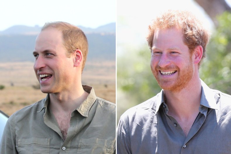 Prince William, Prince Harry in Africa