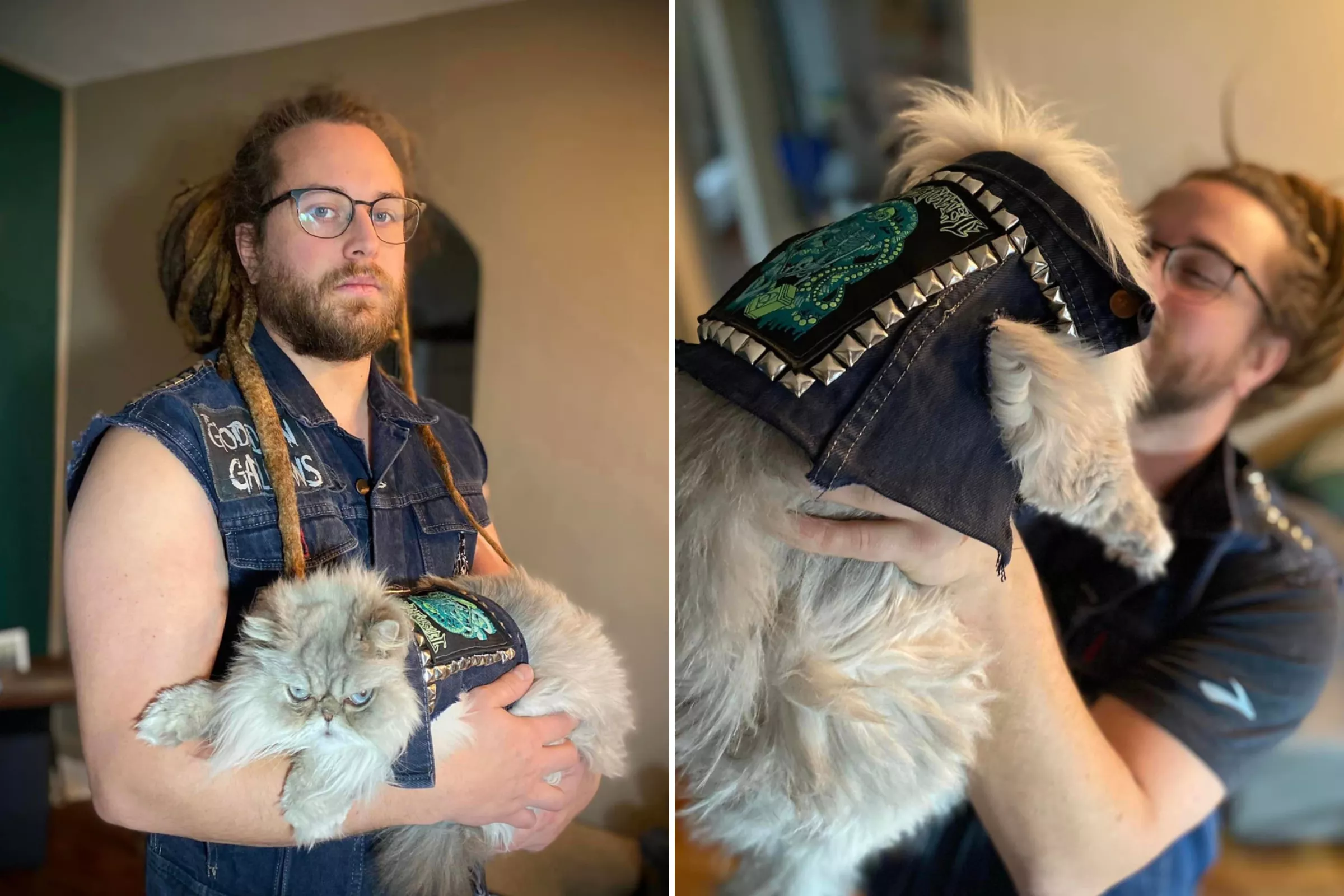 Laughter as Cat Dad Makes Matching 'Battle Vest' for Pet Persian - Vimarsana News