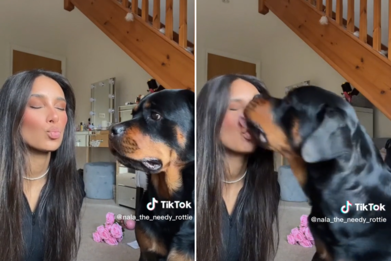 Nala giving owner Maddie Ribton a Kiss