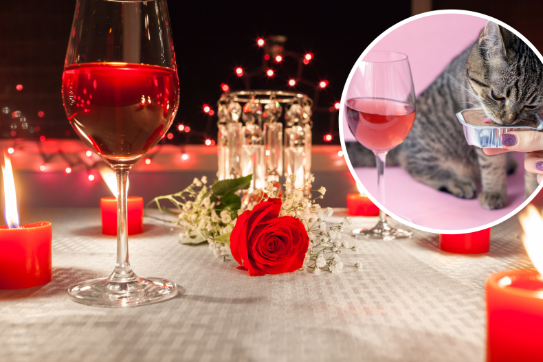 cat date night melts hearts