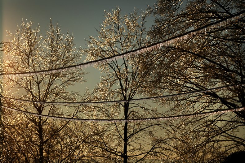 Ice accumulates on power lines