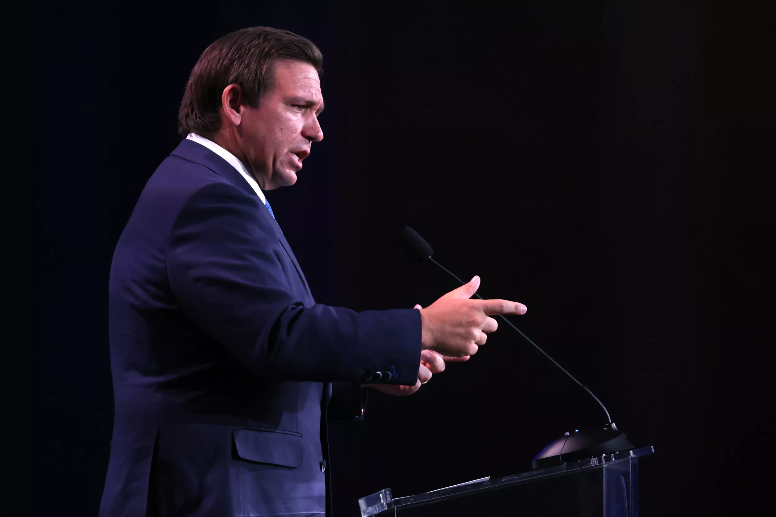 Ron DeSantis, Defender of Black History - Vimarsana News